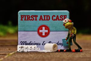 first aid, frog, medic-1732713.jpg førstehjælp til shelterturen